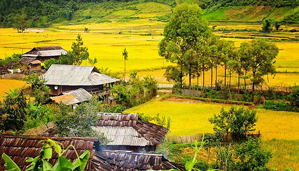 Các phương tiện di chuyển từ Hải Phòng đi Sơn La