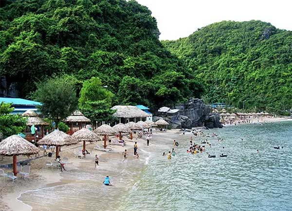 chia se kinh nghiem di cat ba bang o to tu lai