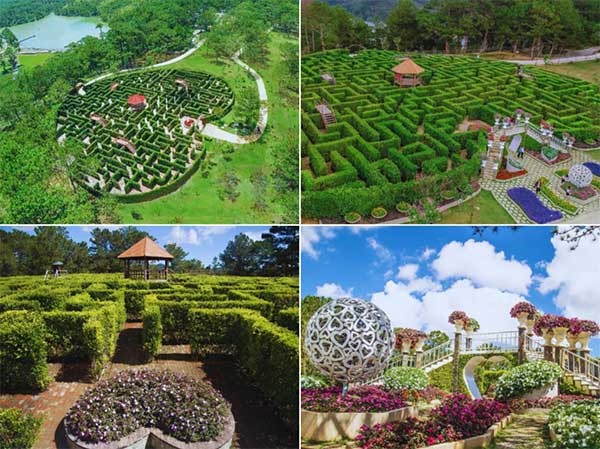 di du lich da lat vao mua xuan