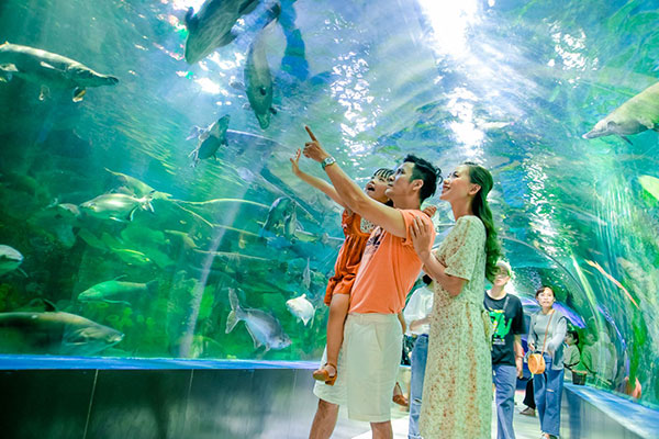 du lịch gần Hải Phòng