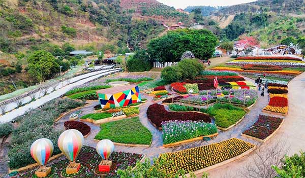 tim hieu kinh nghiem di moc chau bang o to tu lai